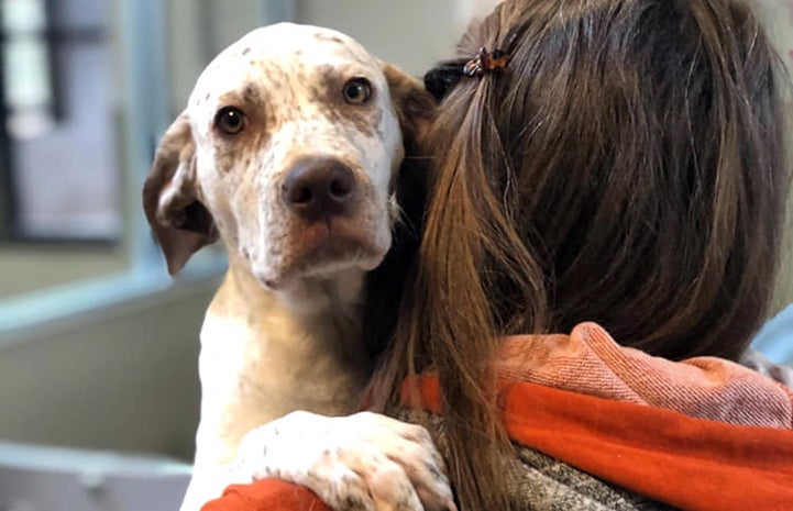 Tobaso on the shoulder of Dogtown manager Julie Tasch