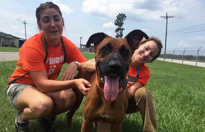 Scooby loves belly rubs and is now safe thanks to Big Dog Ranch Rescue