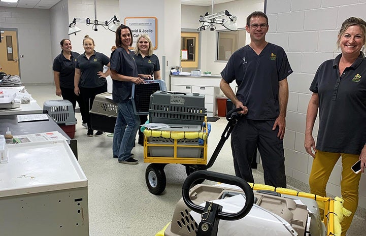 Evacuation at the Jacksonville Humane Society prior to Hurricane Dorian