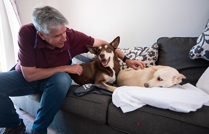 Man sitting on a couch next to Kit and Caboodle the dogs