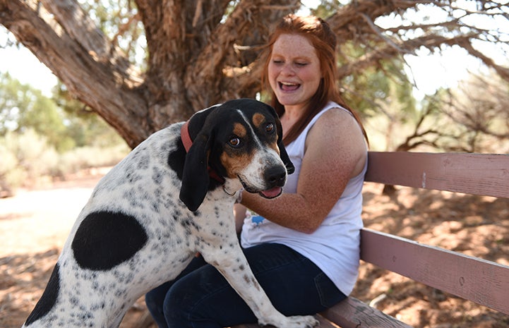 Whistler the dog doing having a training session with Jacki