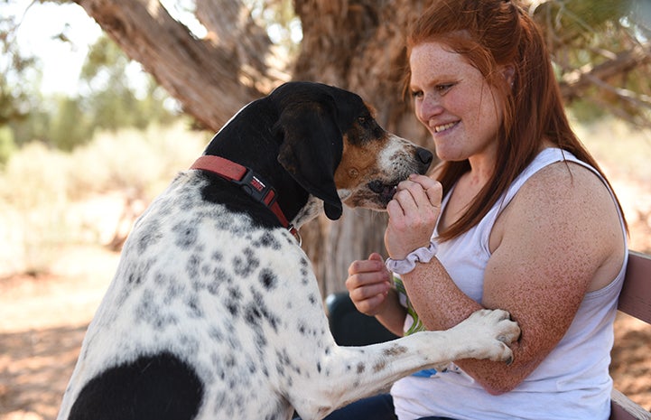 Whistler the dog doing training with Jacki