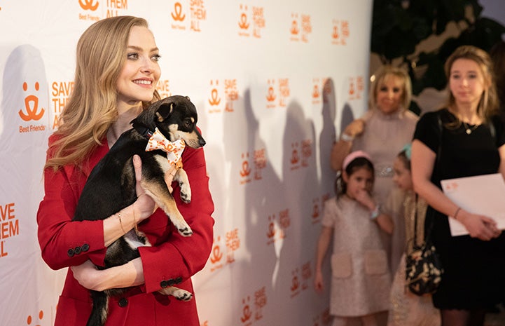 Amanda Seyfried at the Best Friends New York Gala