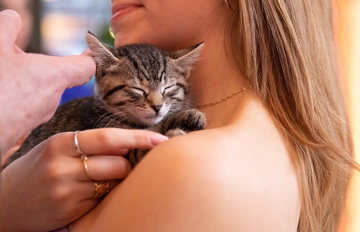 Holly Taylor and kitten at the Best Friends New York Gala