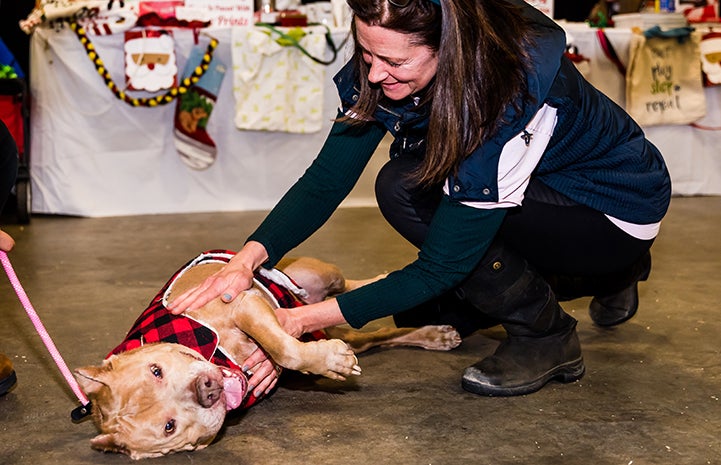 Everyone was all smiles and belly rubs when Blue the dog got some love at the New York Super Adoption