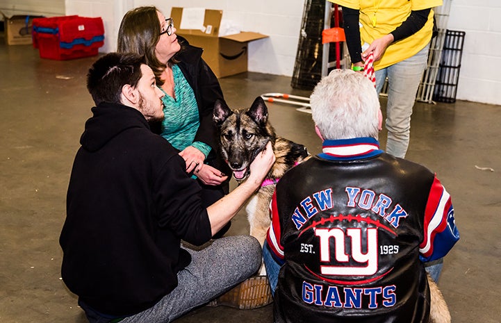 Sheila is an energetic dog who absolutely loves people and found the perfect home at the New York Super Adoption