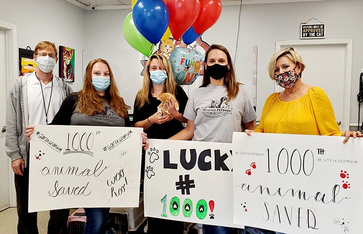 Group of people celebrating their 1000th surgery with signs and balloons and holding the kitten who was fixed