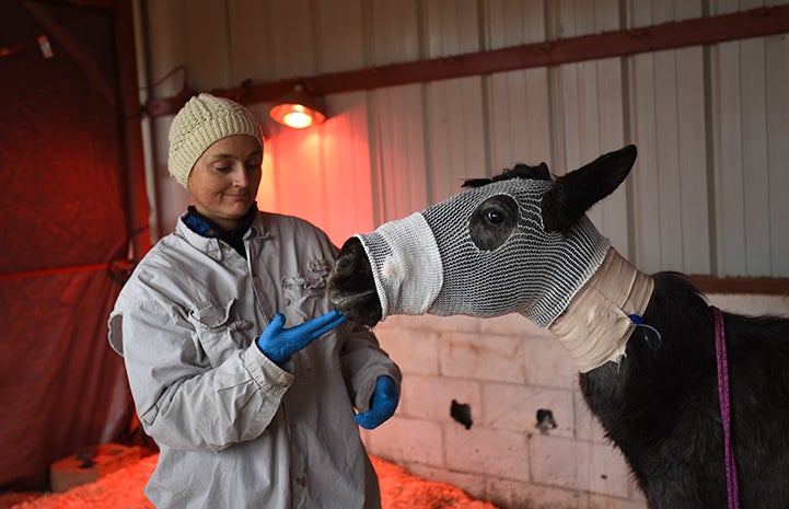 Bug's face covered in a bandage mask with Dr. Tara