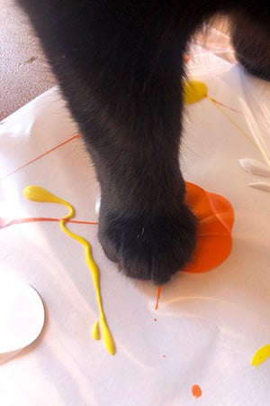 Black cat paw stepping on a paint spot on the paper