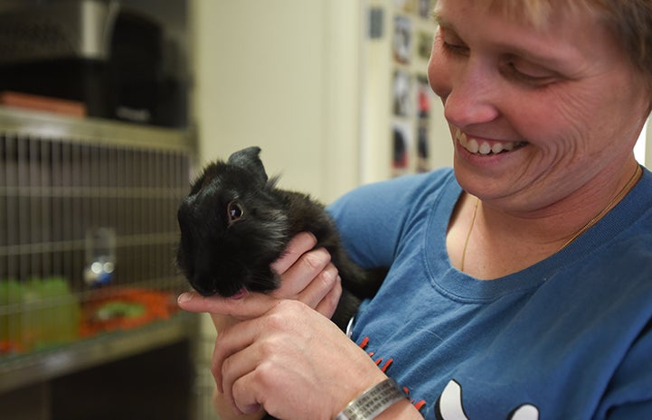 Coop the black rabbit licking the hand of the woman who's holding him