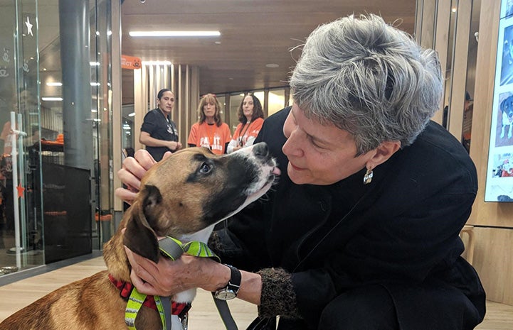 Woman squatting down to pet Bobby the dog who she had just adopted while staff watch from behind