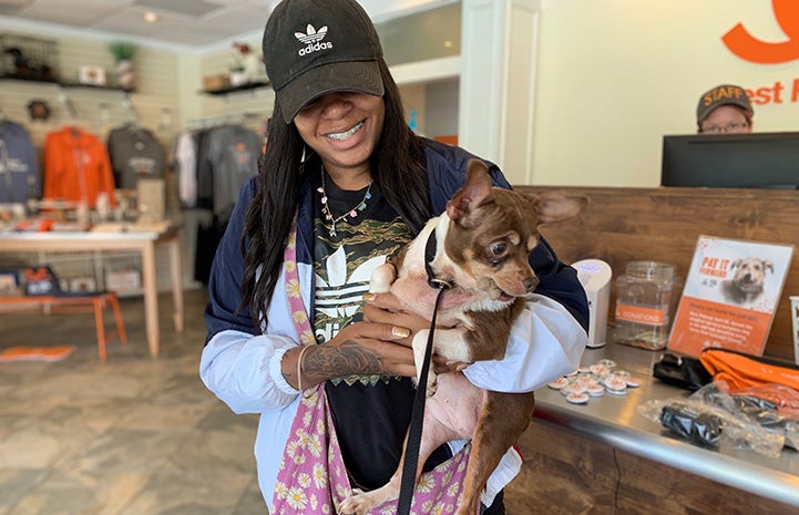 Person wearing a hat adopting a small brown and white dog