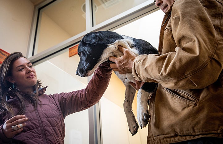 Woman petting a black and white puppy being held by Steven the Dogtown caregiver