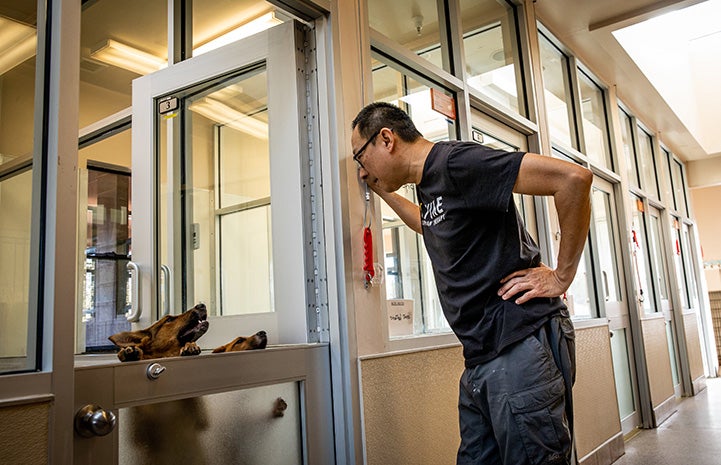 Steven, a Dogtown caregiver, looking down at a two puppies peeking up over the top of a half door