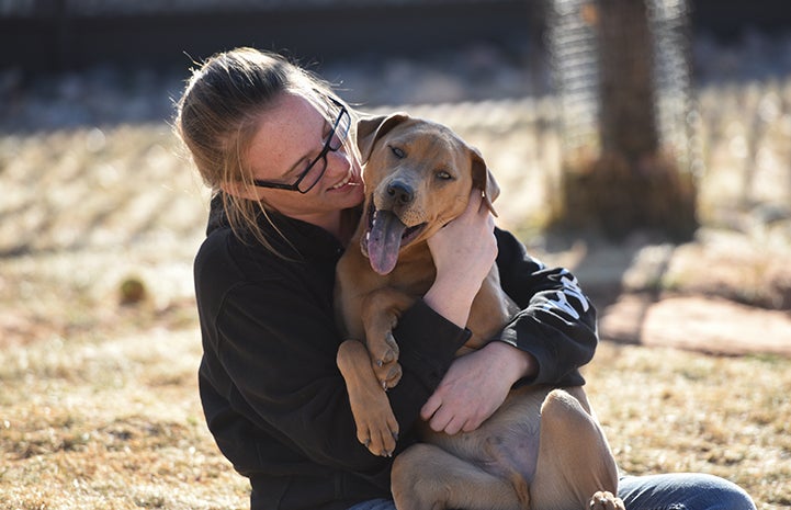 Rubiks the dog slowly began to know and trust his caregivers