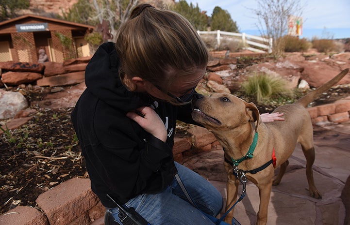 Rubiks the dog enjoying some time outside the Best Friends Welcome Center