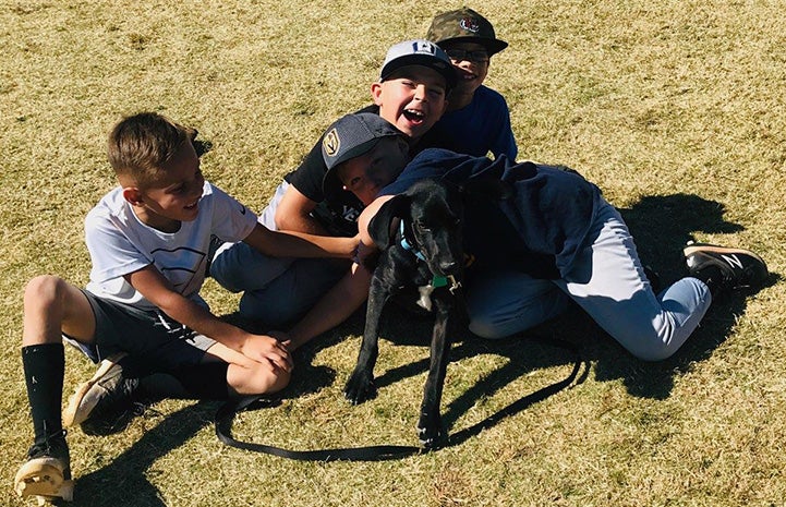 Toby the puppy playing with some young boys