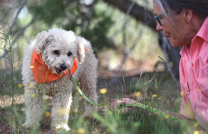 When Arthur arrived at Best Friends, he didn’t know how to do basic things, such as walk on a leash