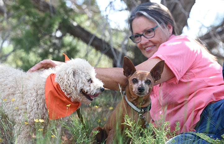 Arthur will go for a stroll with Dogtown caregiver Dara Merrifield and his pal Sarge