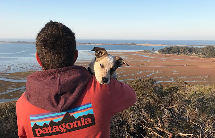 Sam holding Loka the puppy while looking out at a large body of water