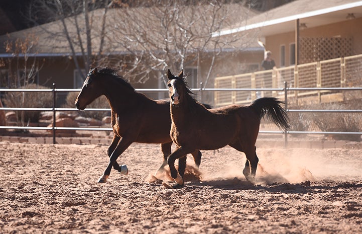 Sid has shown a remarkably playful spirit and lots of physical resilience