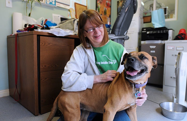 Layla the Vicktory dog in an office being hugged by Jacque 