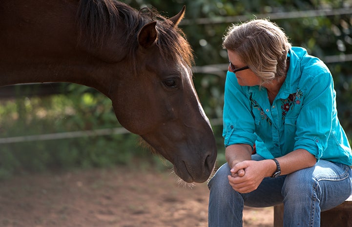 Tony with Jen Reid, Horse Haven manager