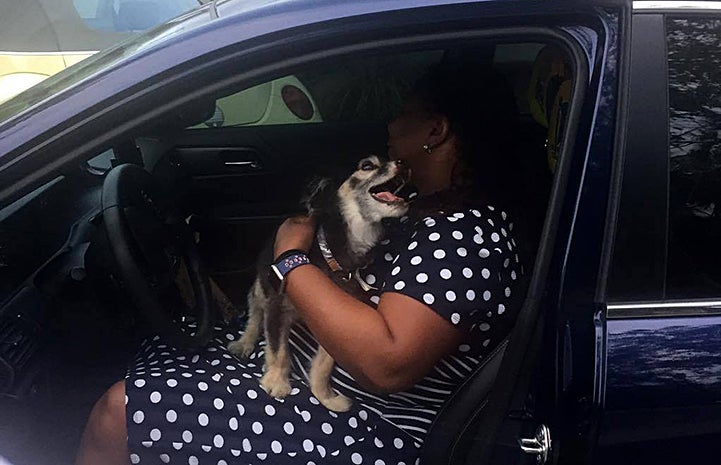 A woman named Candace recognized the sweet senior face on a flyer as her dog Max