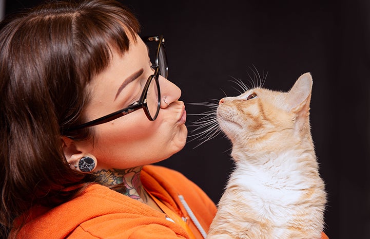 Woman holding an looking at Cesaro the buff tabby cat