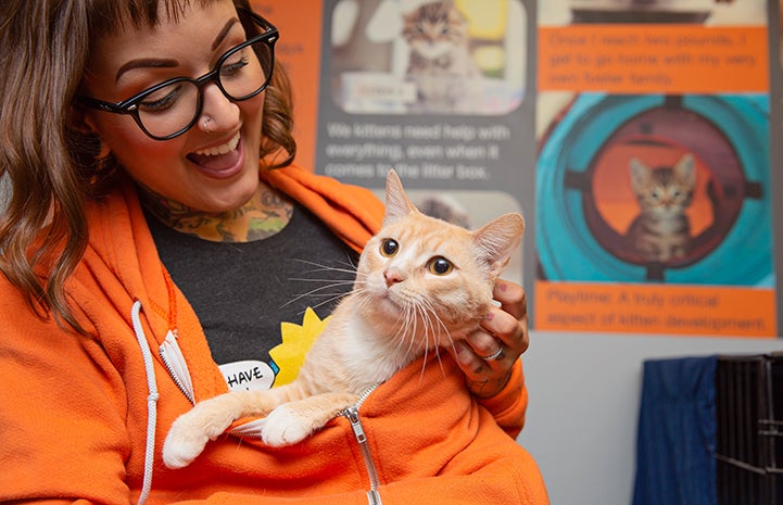 A smiling woman holding Cesaro the buff colored tabby cat, after he was cured of ringworm