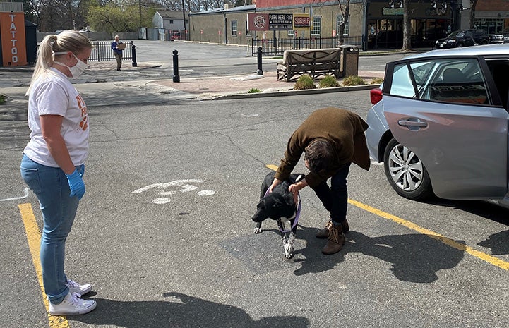 Woman meeting a dog outside while another person wearing a protective mask watches