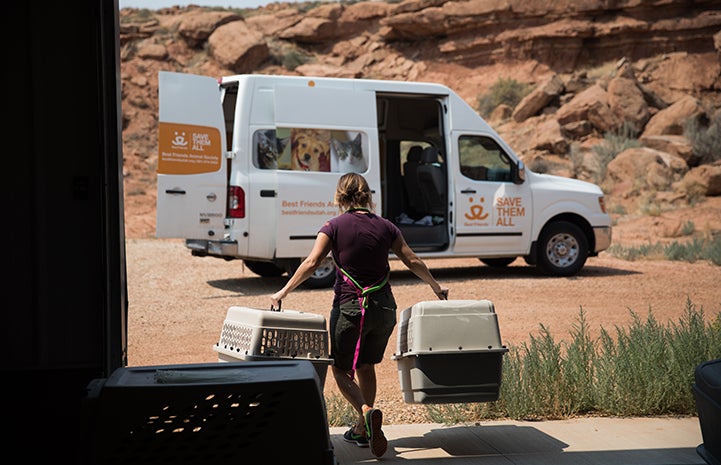 Woman carrying two carriers to a Best Friends van