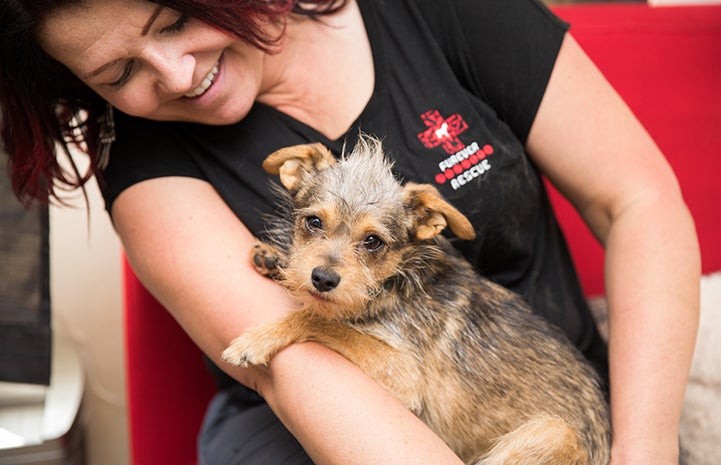 Smiling woman holding a shy fuzzy dog in her lap