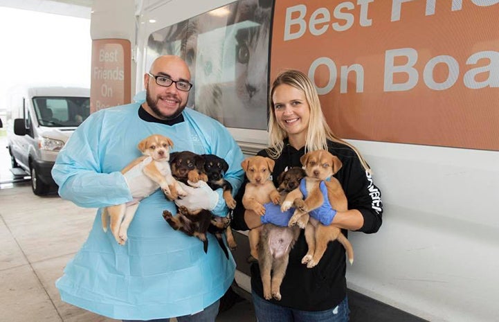 Man and woman, each holding three puppies, in front of the transport van