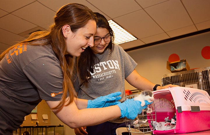 Two women putting a tiny kitten in a carrier