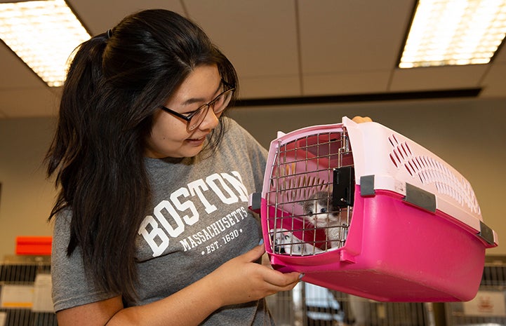 Woman holding a pink carrier containing a young kitten