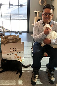 Jeong with his cats, Seamus Heaney and William Butler Yeats