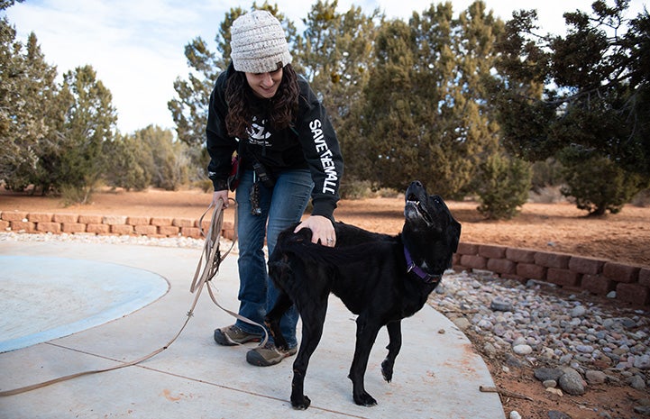 Woman wearing a knit cap and Best Friends sweatshirt petting Kenya the dog's hind end