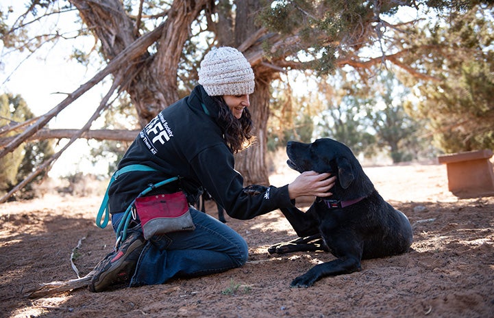 Kenya the dog lying down outside next to a woman staff member wearing a knit cap