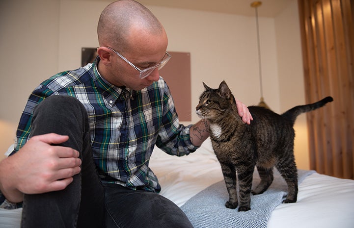 Wilbur the cat standing and looking at Michael Cox on a bed