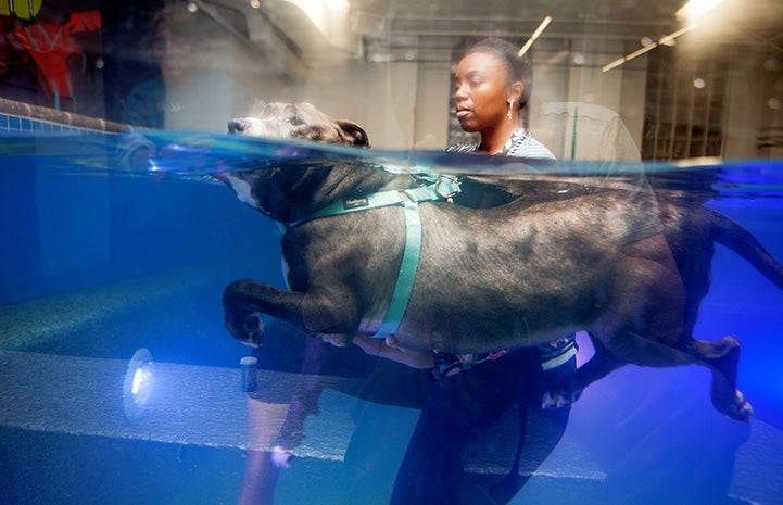 Sheena doing hydrotherapy with the assistance of a woman