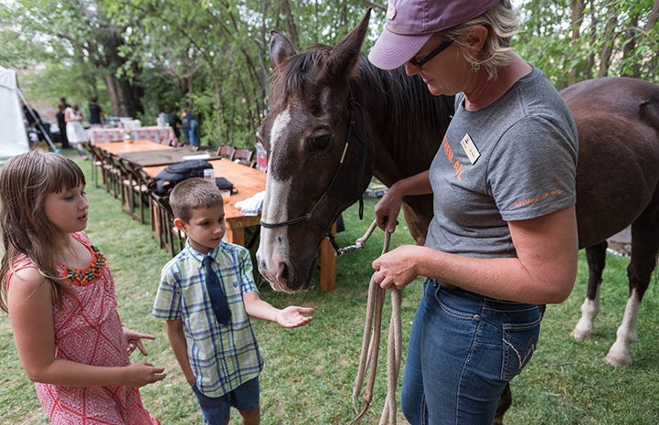 Billy Bob the horse being led by a woman and meeting two children