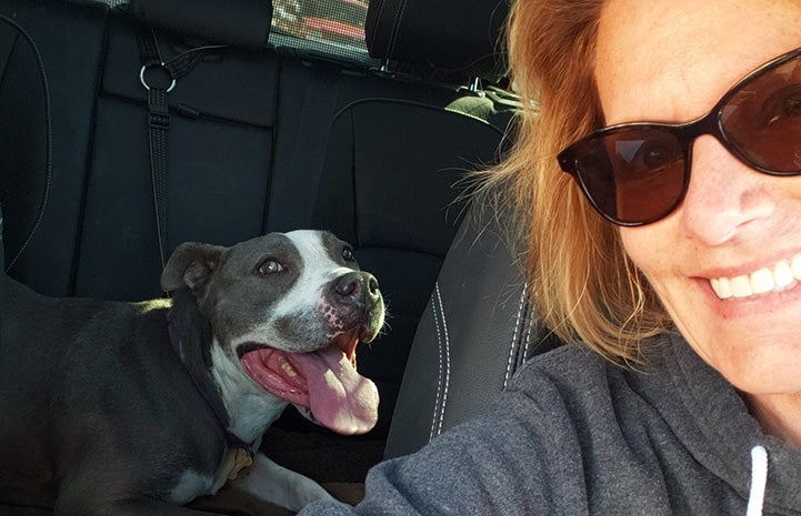 Selfie of a woman with Rocco the dog in the back seat of a car