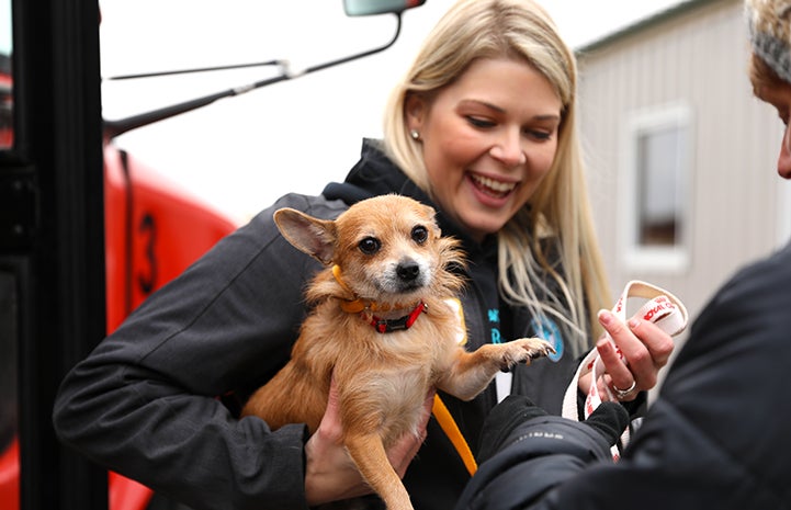 Smiling blond woman holding a small tan and white dog