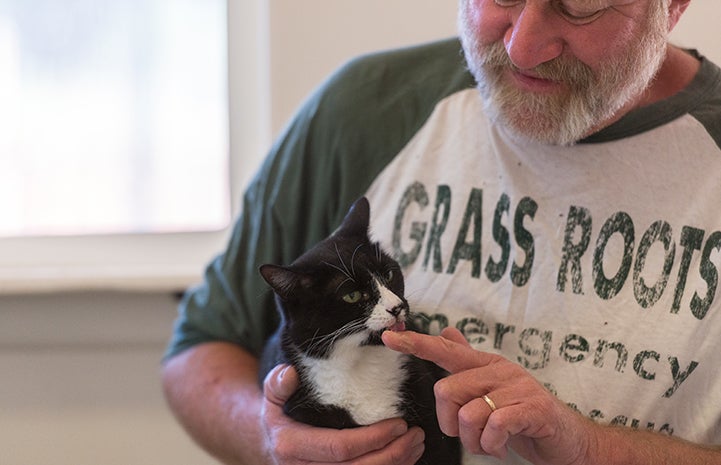 The true magic may have been a combination of the baby food and Luigi's caregivers’ patience