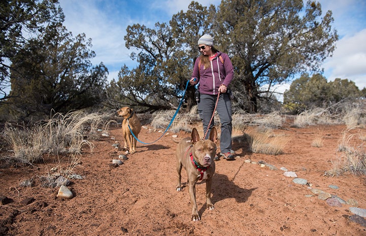 Cosette and Cleveland the dogs being walked outside by caregiver Jess