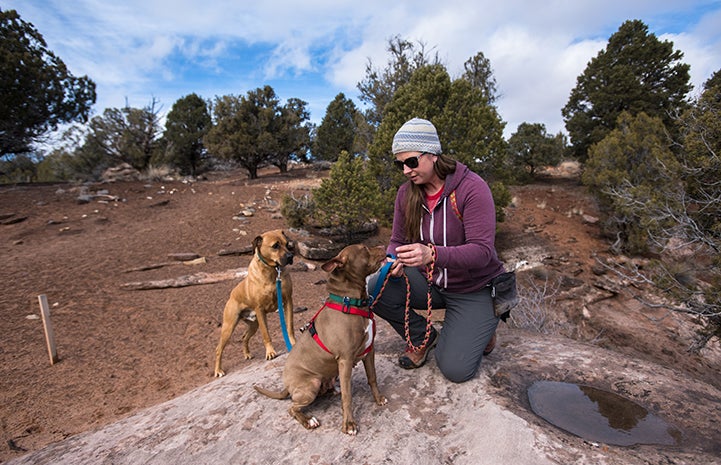 Jess the Dogtown caregiver taking a break from a walk with Cleveland and Cosette the dogs