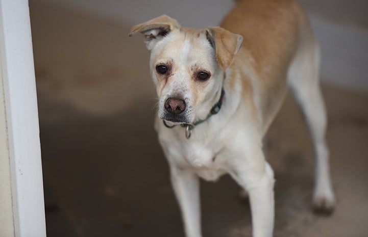 Being able to explore the building and hang out with his caregivers helps Tommy gain confidence