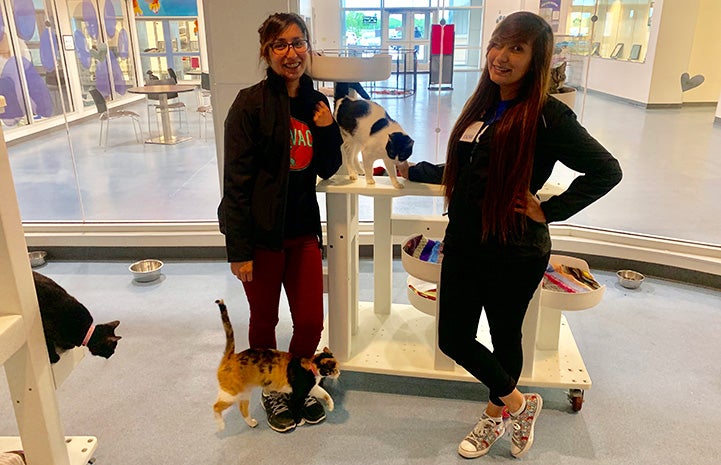 Yessy and Yobeli Banda in the cat room at Palm Valley Animal Center (PVAC)