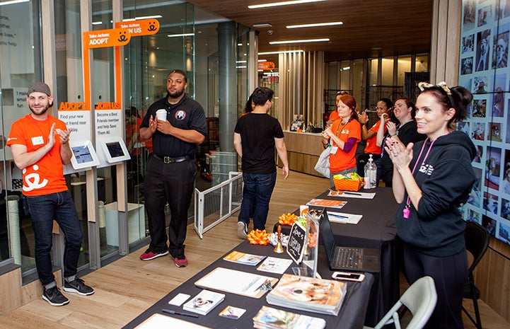 Staff would cheer at every "Love is Special" pet adoption